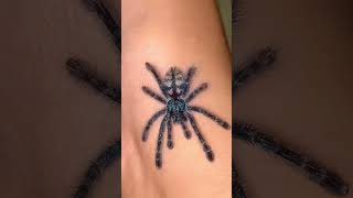 Caribena Versicolor Spider Beautiful and Unreal Creature [upl. by Alvar237]