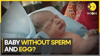 Baby without sperm and egg Scientists create synthetic human embryos in major leap  WION [upl. by Carol-Jean345]