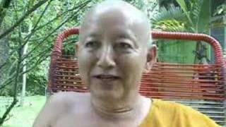 Ven Dhammavuddho 28  More criticisms of Mahayana teachings [upl. by Svoboda]