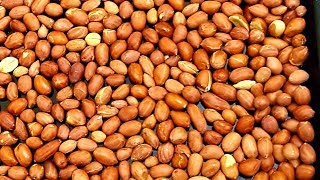 How to make perfect roasted peanuts in the oven [upl. by Fremont945]