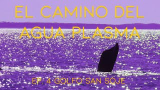 EL CAMINO DEL AGUA PLASMA  EP 4 Golfo San José [upl. by Lounge]