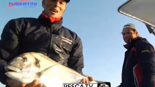 Tecnica di PESCA delle ORATE a BOLENTINO con Marco VOLPI  Peschiamo in barca con le canne  PescaTV [upl. by Garth810]