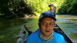 MANCING MANIA  IKAN ASAM DAYAK LUNDAYEH 13517 31 [upl. by Yerffoeg]