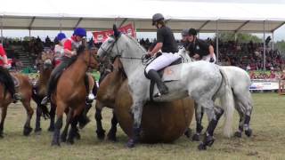 Titanen der Rennbahn 2014 Fussballendspiel [upl. by Ennovehc]