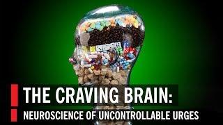 The Craving Brain Neuroscience of Uncontrollable Urges [upl. by Lynne350]