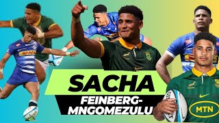 Best Of Springbok Sacha FeinbergMngomezulu  Springboks Golden Goose [upl. by Ricky]