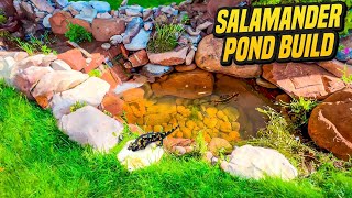 What’s A Salamander Pond [upl. by Inavihs]