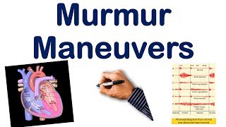 Heart Murmur Maneuvers Dynamic Auscultation Part 2 USMLE STEP NCLEX COMLEX [upl. by Zeculon]