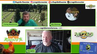 Rapido Live Gamefowl Conditioning w Douglas Bruce [upl. by Ociram]