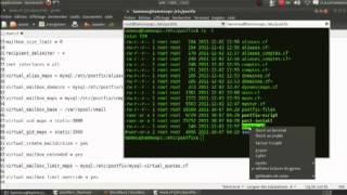 Installation amp configuration de Postfix  SMTP POP et Imap  Courier [upl. by Hteik290]