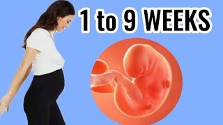 Early Pregnancy 1 TO 9 WEEKS PREGNANCY  From Conception to Early Pregnancy [upl. by Eohce]