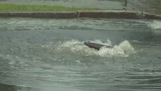 Heavy rainfall poses high flash flood risk across parts of Maine [upl. by Hubsher]