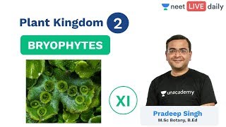 NEET Plant Kingdom  Lecture 2  Bryophytes  Class 11  Unacademy NEET  Pradeep Sir [upl. by Musetta]