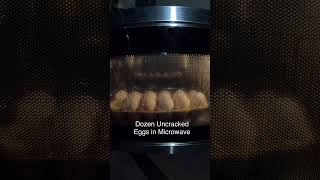 Dozen uncracked eggs in microwave physics experiments viralshorts [upl. by Hanonew]