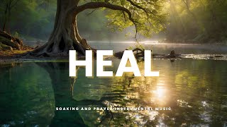 HEAL Soaking and Prayer Instrumental [upl. by Mauceri586]