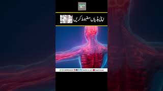 Strengthen Your Bones  اپنی ہڈیاں مضبوط کریں  apanee haddiyon ko majaboot karen  Urdu Hindi [upl. by Niltiak]