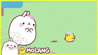 Molang  Little peckish  Season 2 Episodes [upl. by Ayotyal]