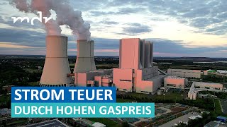 Teurer Strom Warum der Gaspreis auch die Kosten für Energie drastisch erhöht  Umschau  MDR [upl. by Alliuqal]