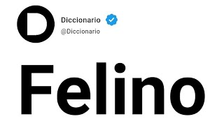 Felino Significado En Español [upl. by Irtimed]