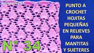 Punto N° 34 tejido a crochet Punto a HOJITAS PEQUEÑAS EN RELIEVES paso a paso para Mantitas [upl. by Theodosia]