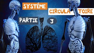 le système circulatoireles artères et les veines partie 3 [upl. by Euqinommod]