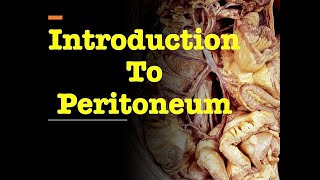 Introduction to Peritoneum [upl. by Fisher]