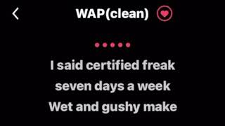 WAP Clean lyrics by Cardi B ft Megan theeKaraoke Version [upl. by Heshum]