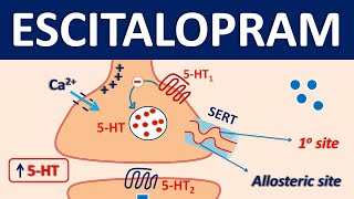 Escitalopram Lexapro  Mechanism precautions side effects amp uses [upl. by Nosbig254]