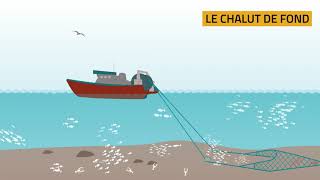 Les techniques de pêche LE CHALUT [upl. by Aurlie]