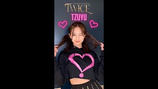 Twice Tzuyu so cute Concert 4th World Tour III LA  ツウィ超可愛い  Shorts [upl. by Adele]