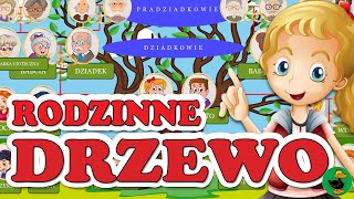 Ola i Drzewo Genealogiczne Rodziny 👪 Film edukacyjny dla dzieci DLADZIECI 10 [upl. by Mattah897]