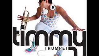 timmy trumpet freaks instrumental [upl. by Tolecnal]