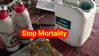 Days 18  Medicine list for stop mortality [upl. by Attalie431]