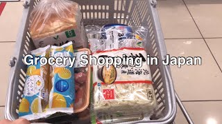 Grocery Shopping Trips in Japan Compilation of Shopping in Late July [upl. by Solrac]