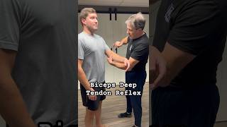 Biceps Deep Tendon Reflex is used to identify a C5 nerve root compression physicaltherapy [upl. by Andi]