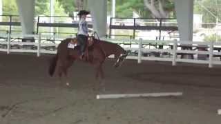 Appaloosa Horse Show Event  Part10 [upl. by Woodhead115]