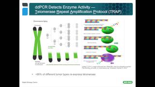 Using Droplet Digital™ PCR for Cancer and Liquid Biopsy Studies [upl. by Kciregor]