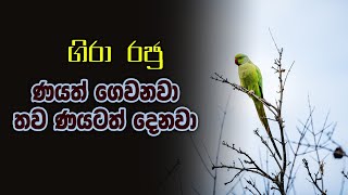 ලෝකයේ උතුම්ම කාරණා 38න් අංක එක මේකයි මහා මංගල සූත්‍රය ඇසුරෙන් වටිනාම දෙසුමක් [upl. by Enaile]