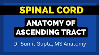 ASCENDING TRACTS OF SPINAL CORD An Overview [upl. by Obadiah]