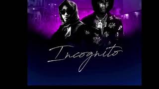 Stalk Ashley ft Alkaline  incognito official audio [upl. by Maible]