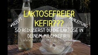 Laktosefreier Kefir So reduzierst Du die Laktose in Deinem Milchkefir Einfaches Rezept [upl. by Ak912]