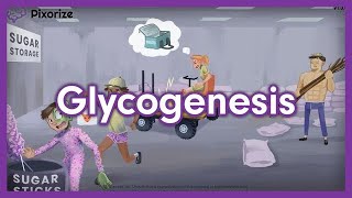 Glycogenesis Mnemonic for USMLE [upl. by Killian]