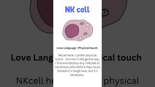 NK CELL LOVE LANGUAGE biology science medstudent immunology immunity love language [upl. by Enytsirhc]