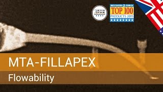 ENDODONTICS  MTAFillapex  Flowability [upl. by Yrek]