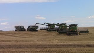 Fleet of Big John Deere Farm Machines Harvesting Wheat amp Seeding Soybeans [upl. by Eisler]