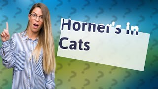 What is Horners syndrome in cats [upl. by Dawaj]