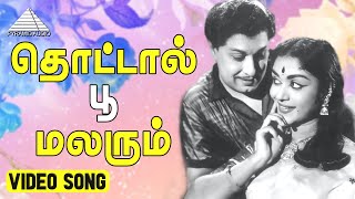 தொட்டால் பூ மலரும் Video Song  Padagotti  M G Ramachandran  Viswanathan–Ramamoorthy [upl. by Silevi]