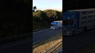 Scania bétaillère le Lelandais [upl. by Jurdi]