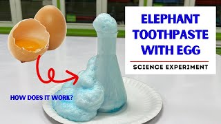 EGG FOAM EXPERIMENT  Egg Elephant Toothpaste  How does it work [upl. by Carlita]