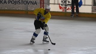 Czech International Hockey Camp 2009 [upl. by Adniroc823]